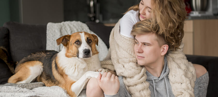 Dog Adoption Stories That Will Warm Your Heart
